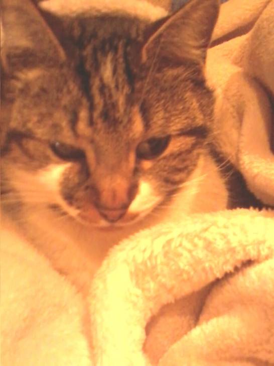 Fyfy - (2 ans)