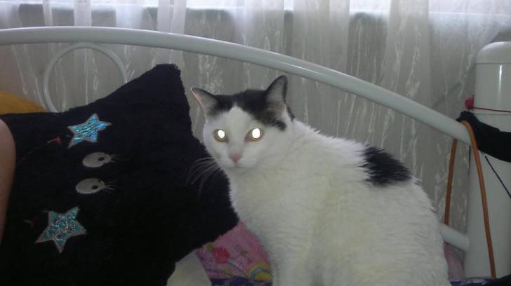 flaca - (4 ans)