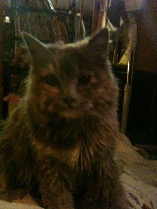 Smokey -