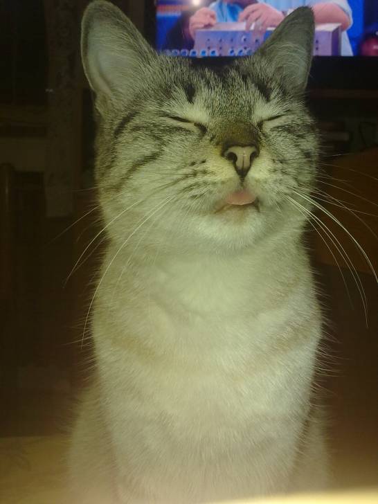 Prissy -