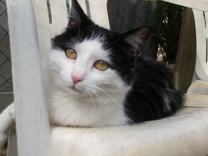 gribouille - (3 ans)