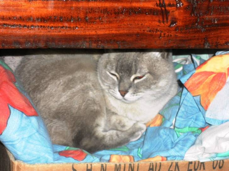 titi - (5 ans)
