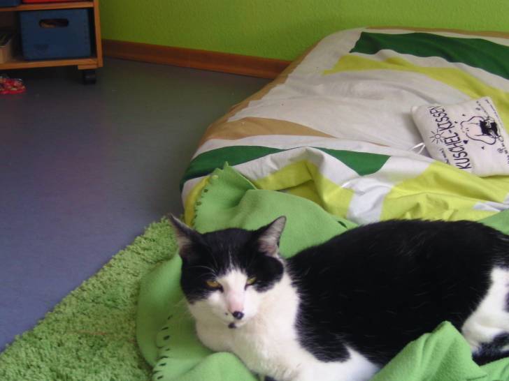 Kula - (13 ans)