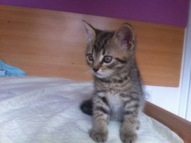Nelly -