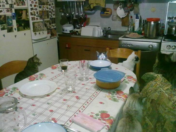 tutti a tavola!!! -