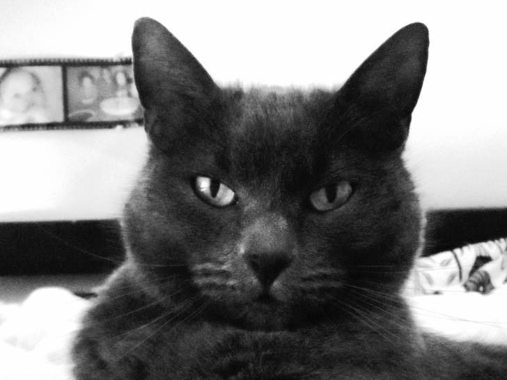 Hava - (7 ans)