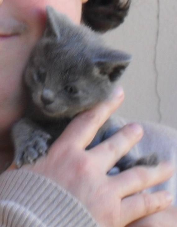 Minnie - (3 mois)
