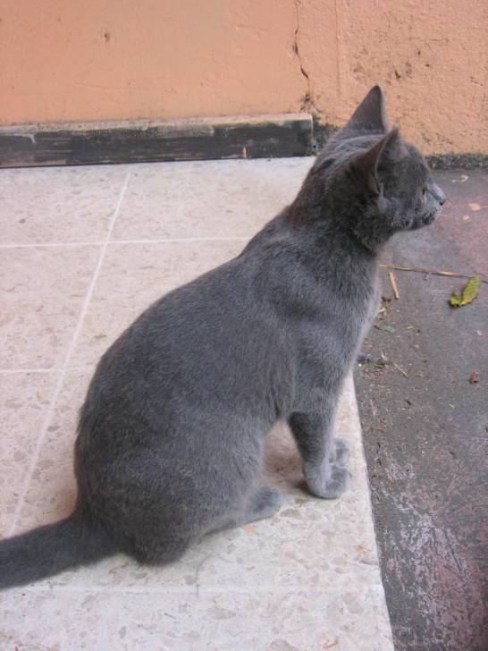 Hisana - (2 ans)