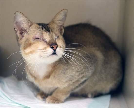 Hope - (2 ans)