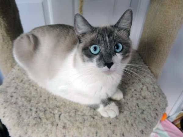 Mayflower - (4 ans)