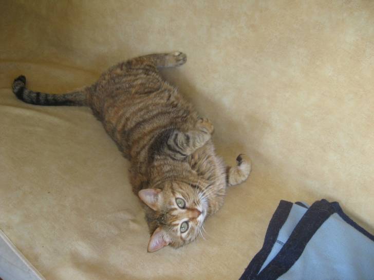 Canaille - (9 ans)