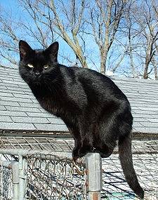 Chocolate on the edge - (2 ans)