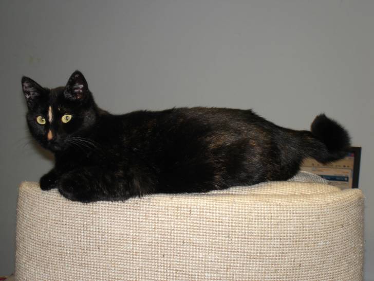 Little - (2 ans)