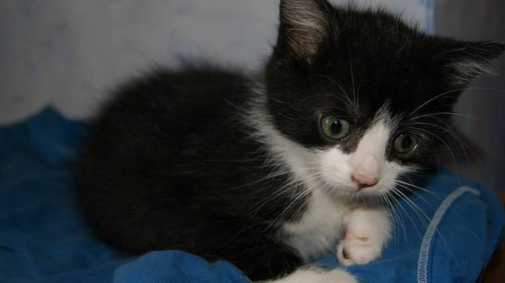 Lucy - (2 mois)
