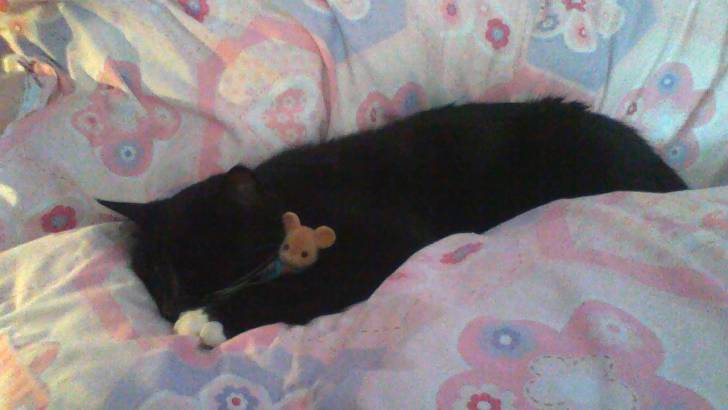 More cuddles! - (1 an)