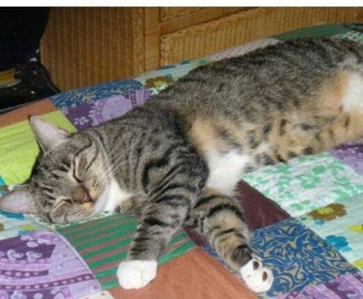 prince - (2 ans)
