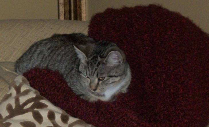 Lizzie - (4 ans)