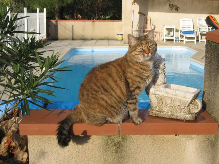 Canaille - (9 ans)