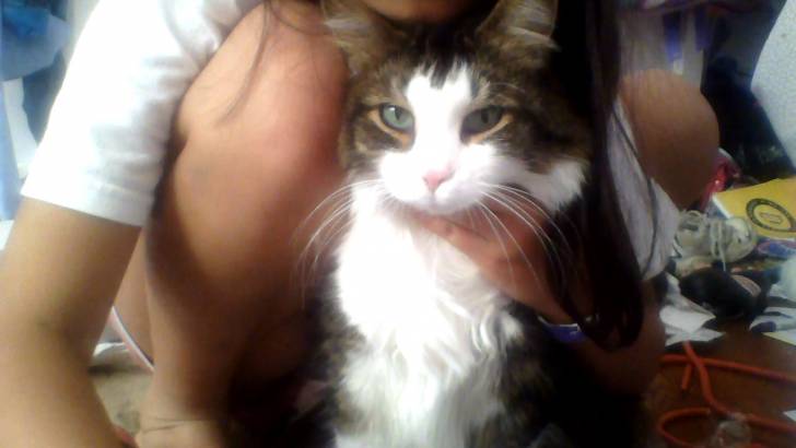 Momo - Mâle (6 ans)
