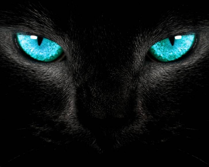 trop beau - (4 mois)