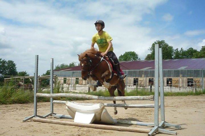 voila - Mâle (4 ans)