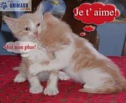 drole 1 -