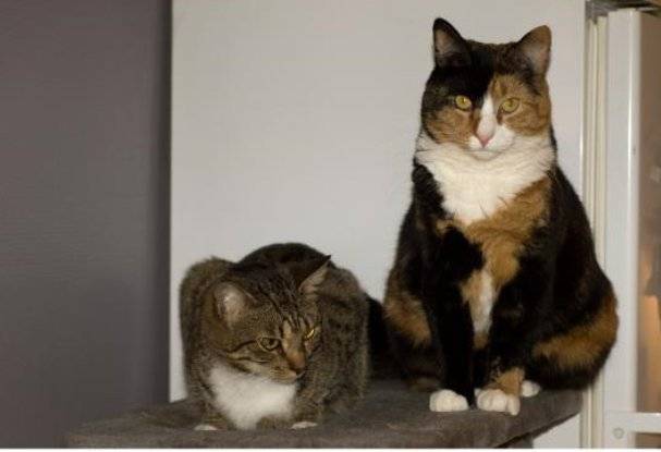 franky y xixi - (5 ans)