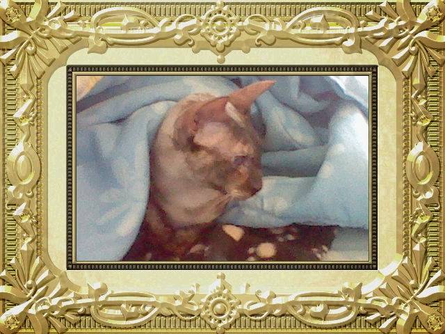 Nefer-titi - (2 ans)