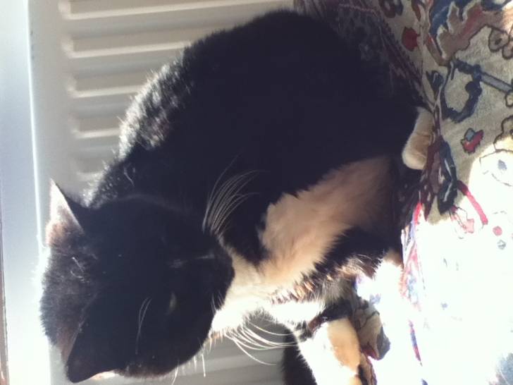 Suzie - (16 ans)