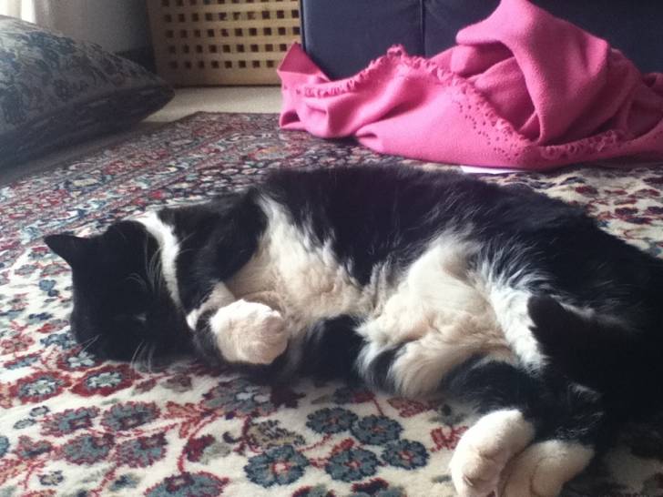 Suzie - (16 ans)