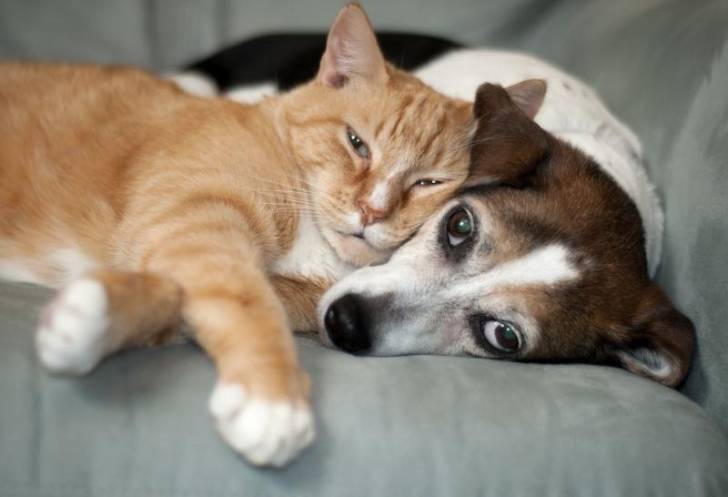 Sandy & Sabatin - (10 mois)