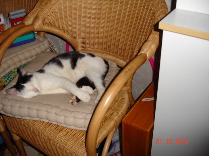 Crapule - (5 ans)