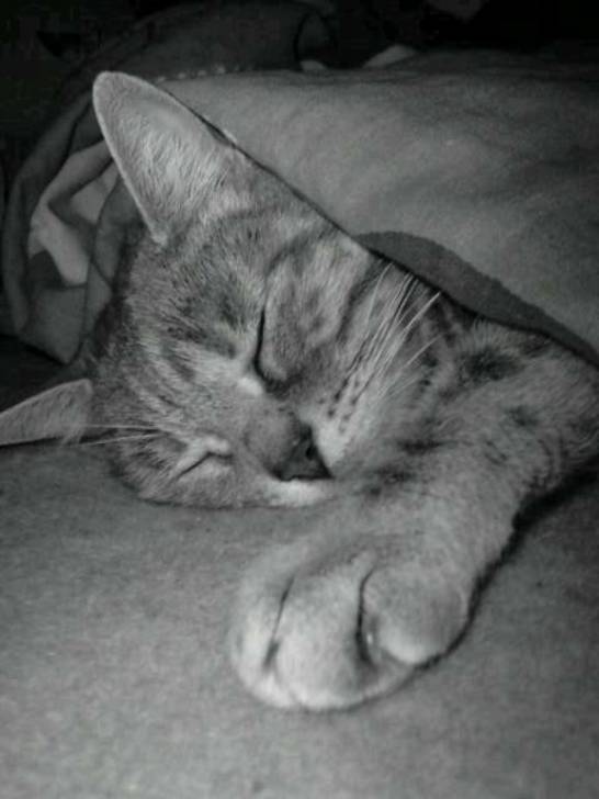 Mimi qui dort - (9 ans)