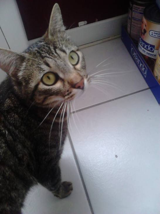 Lidzy - (6 mois)