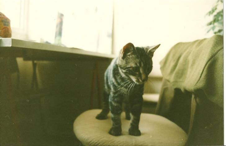 axa - (2 ans)