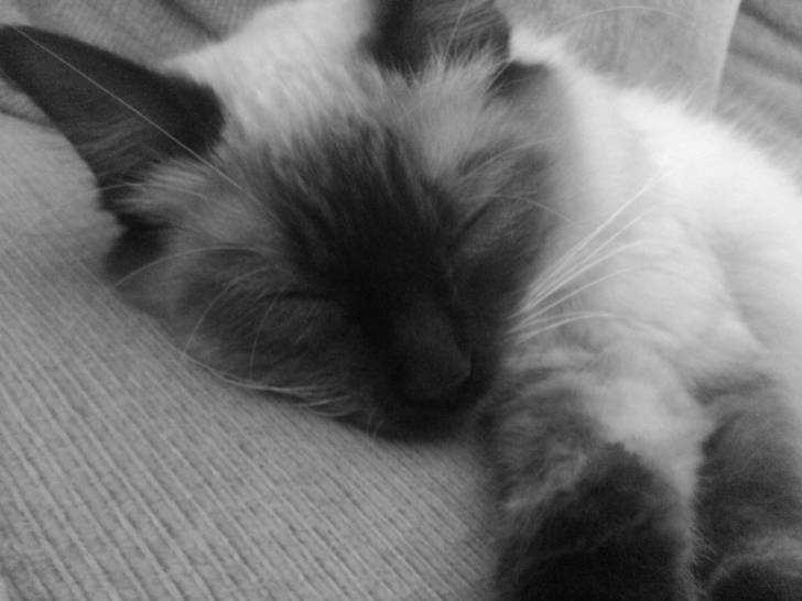 Fiona - (2 ans)