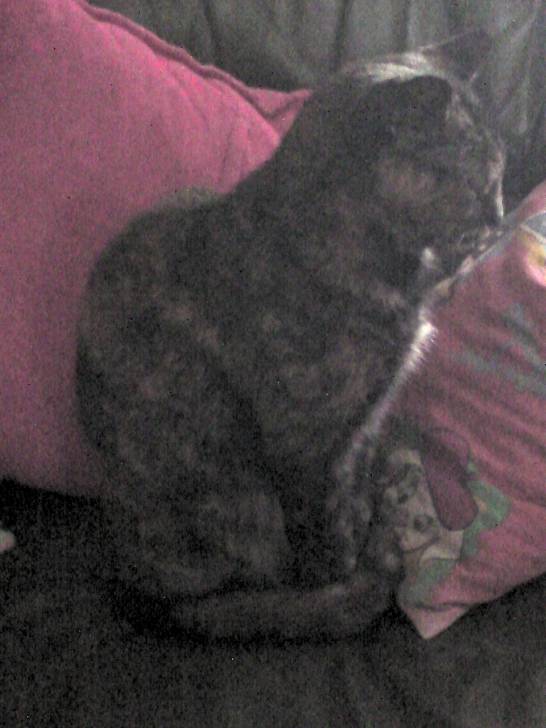 Minette - (15 ans)
