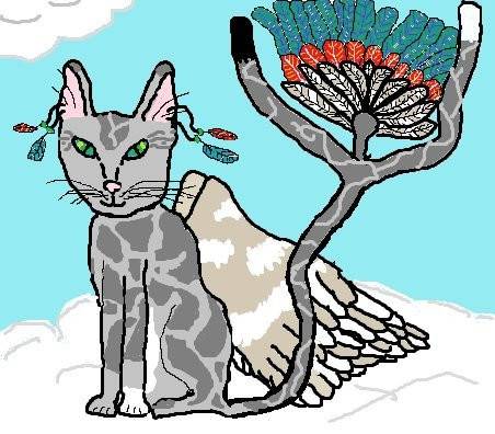 Cloud Cat - (1 an)