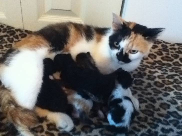 Baby et maman - (1 mois)