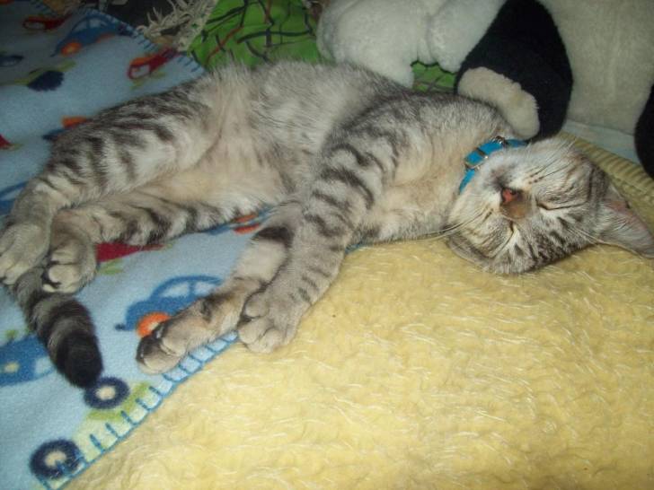 mia - (7 mois)