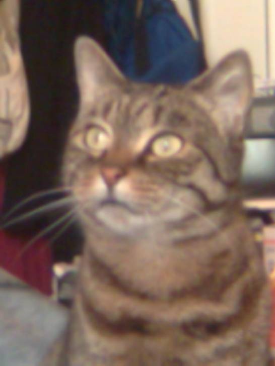 Minnie - (15 ans)