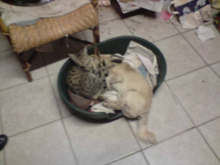 Doudounne et Diego - (14 ans)