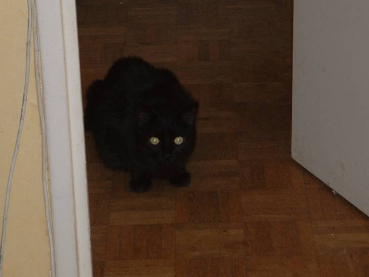 Zozote - (11 ans)