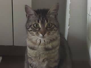 Baddy - (5 ans)