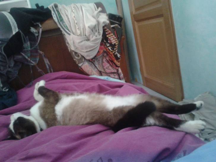 nala - (4 ans)