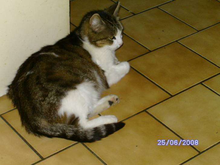 Daisy - (11 ans)