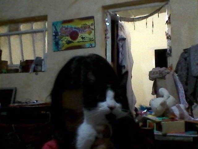 rocha - (10 mois)
