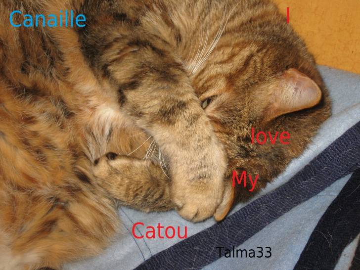 Canaille - (9 ans)