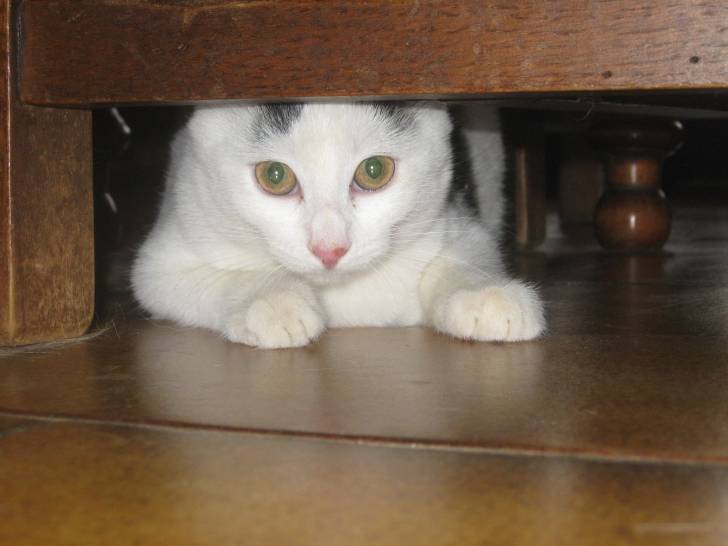 Tagada - (3 mois)