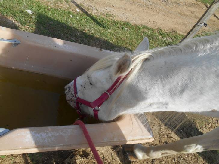 Lila - (8 ans)